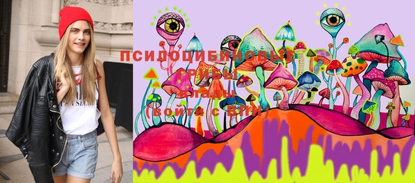 винт Абинск