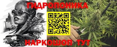 шишки Волжский