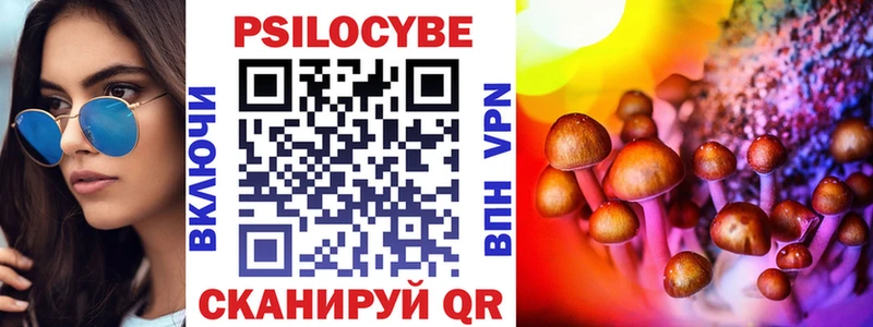 Псилоцибиновые грибы мицелий  Кострома 