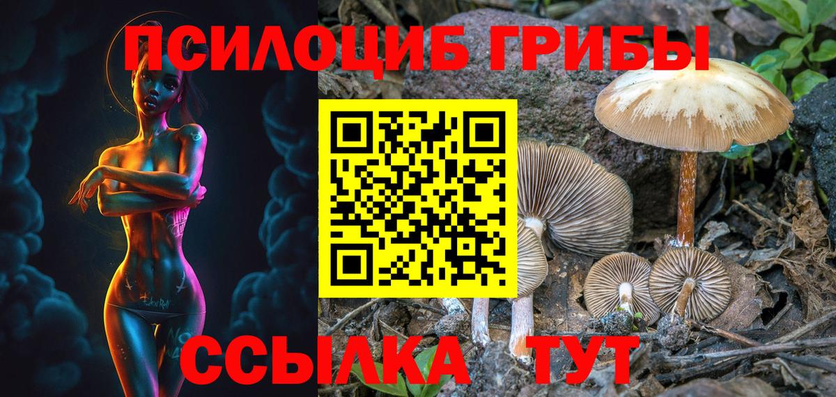 Псилоцибиновые грибы Magic Shrooms Кострома