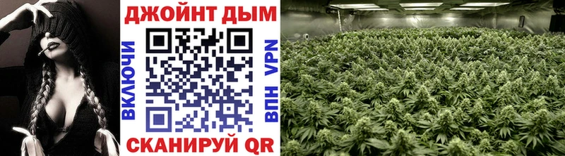 купить  цена  Кострома  Каннабис конопля 